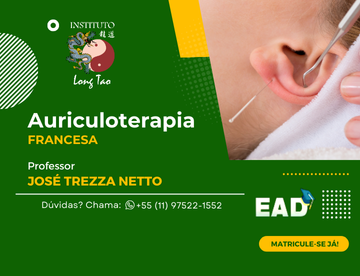 Palestra sobre Auriculoterapia Francesa