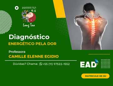 Palestra sobre Diagnóstico Energético pela Dor