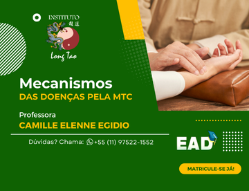 Palestra sobre Mecanismos das Doenças pela MTC